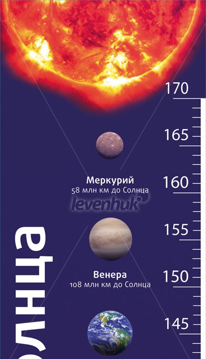 “Güneşe Ulaş” Levenhuk Büyüme Çizelgesi