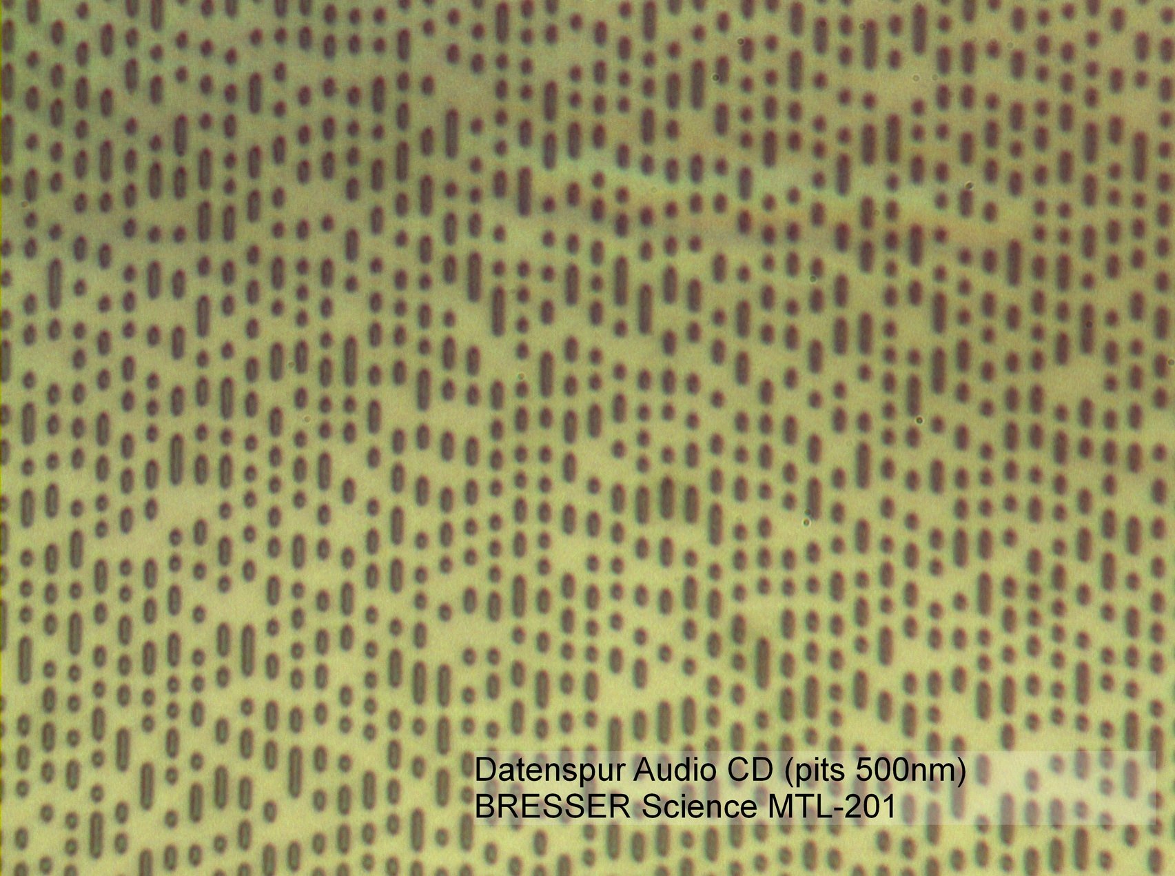 Bresser Science MTL-201 50-800x Microscope