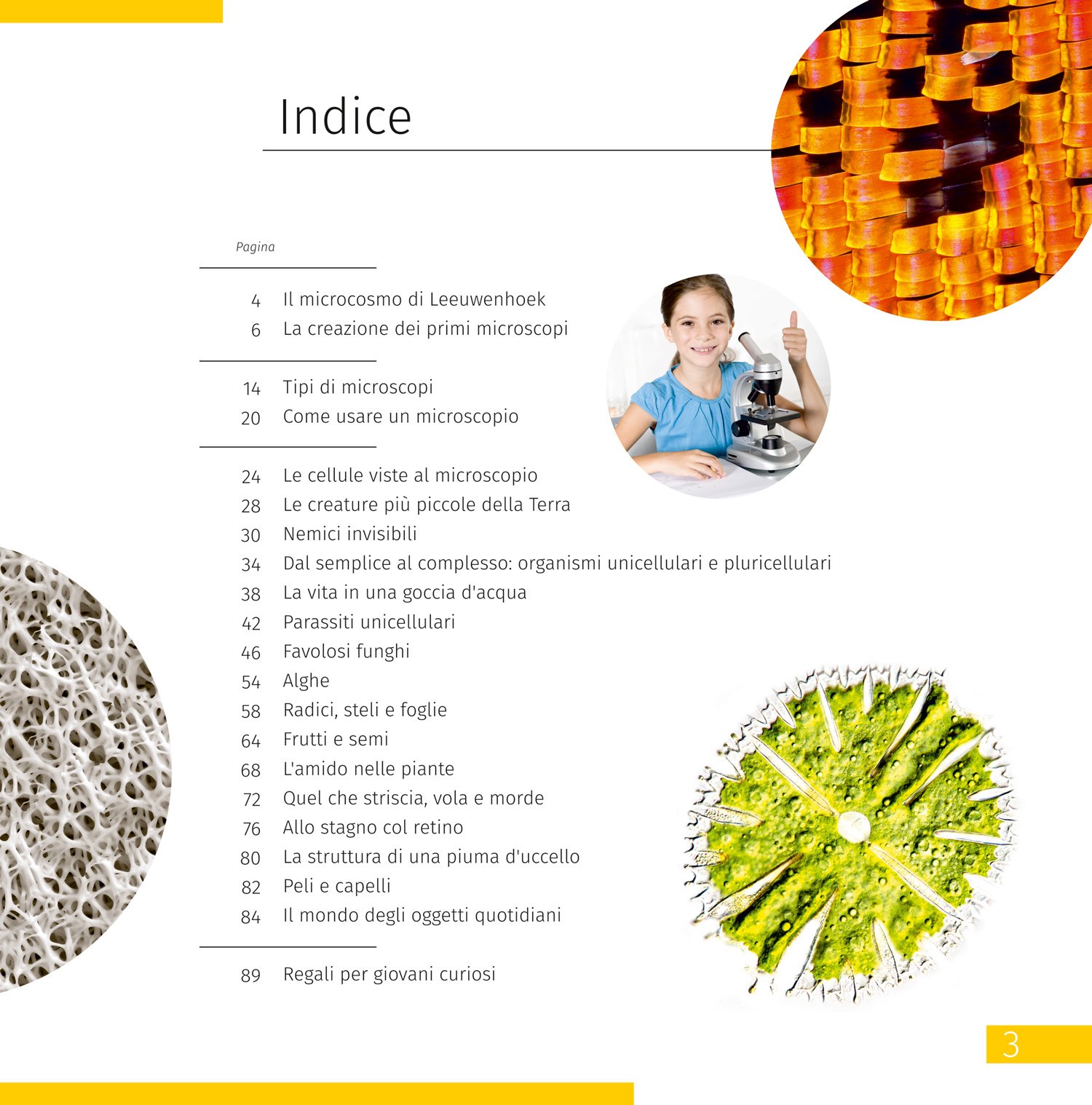 Space. Microworld (Uzay. Mikro Dünya). 2 cilt Bilgilendirici Kitap