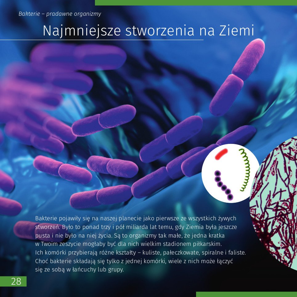 Space. Microworld (Uzay. Mikro Dünya). 2 cilt Bilgilendirici Kitap