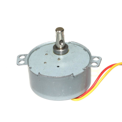 TYZ-49 1 rpm 4W AC Senkron Motor