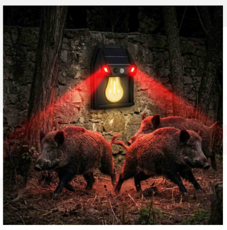 PANTHER PT-2971 SOLAR LED DUVAR LAMBASI