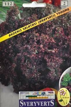 Akdeniz Salatası (Arapsaçı)