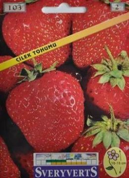Çilek Tohumu
