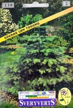 Göknar Çam