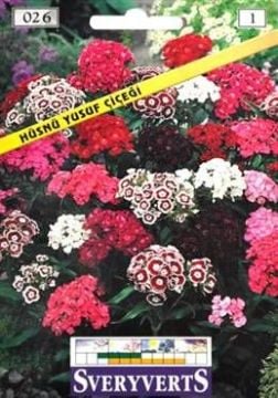 HüsnüYusuf Çiçeği