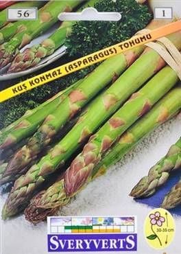 Kuş Konmaz ( Asparagus)
