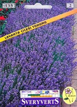 Lavanta Çiçeği