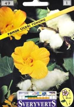 Pamuk Çiçeği
