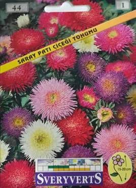 Saray Patı Çiçeği