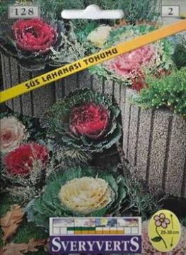 Süs Lahanası