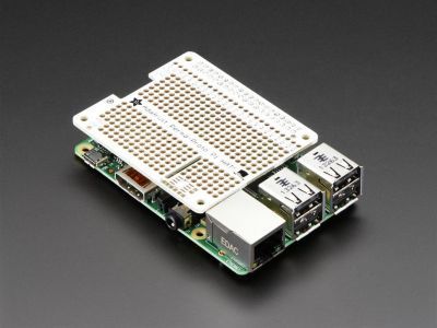 Raspberry Pi 2 Şeffaf Siyah Metal Vidalı  Kutu