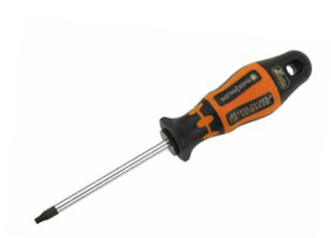 Retta  TORX TORNAVİDALAR  T25 x 100 mm   RXT0025