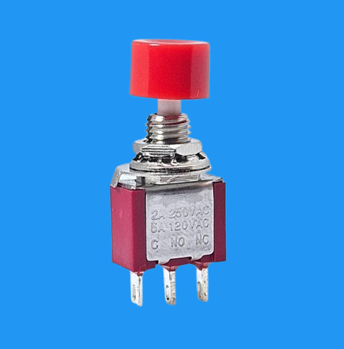 Yaylı Buton 1NO/1NC DS-612  3P  IC-139B