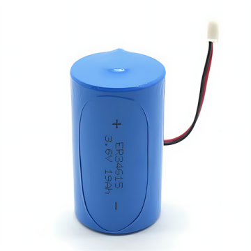 3.6 Volt D Size Lithium Batarya Paketi