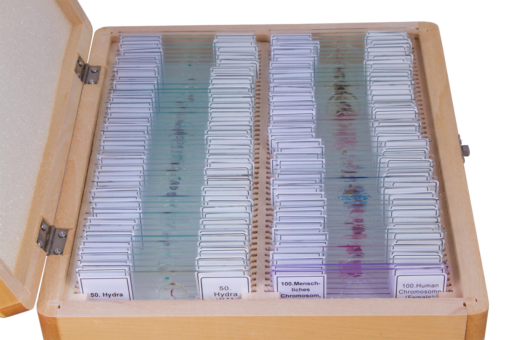 Bresser Prepared Slides Set 100pcs, with case