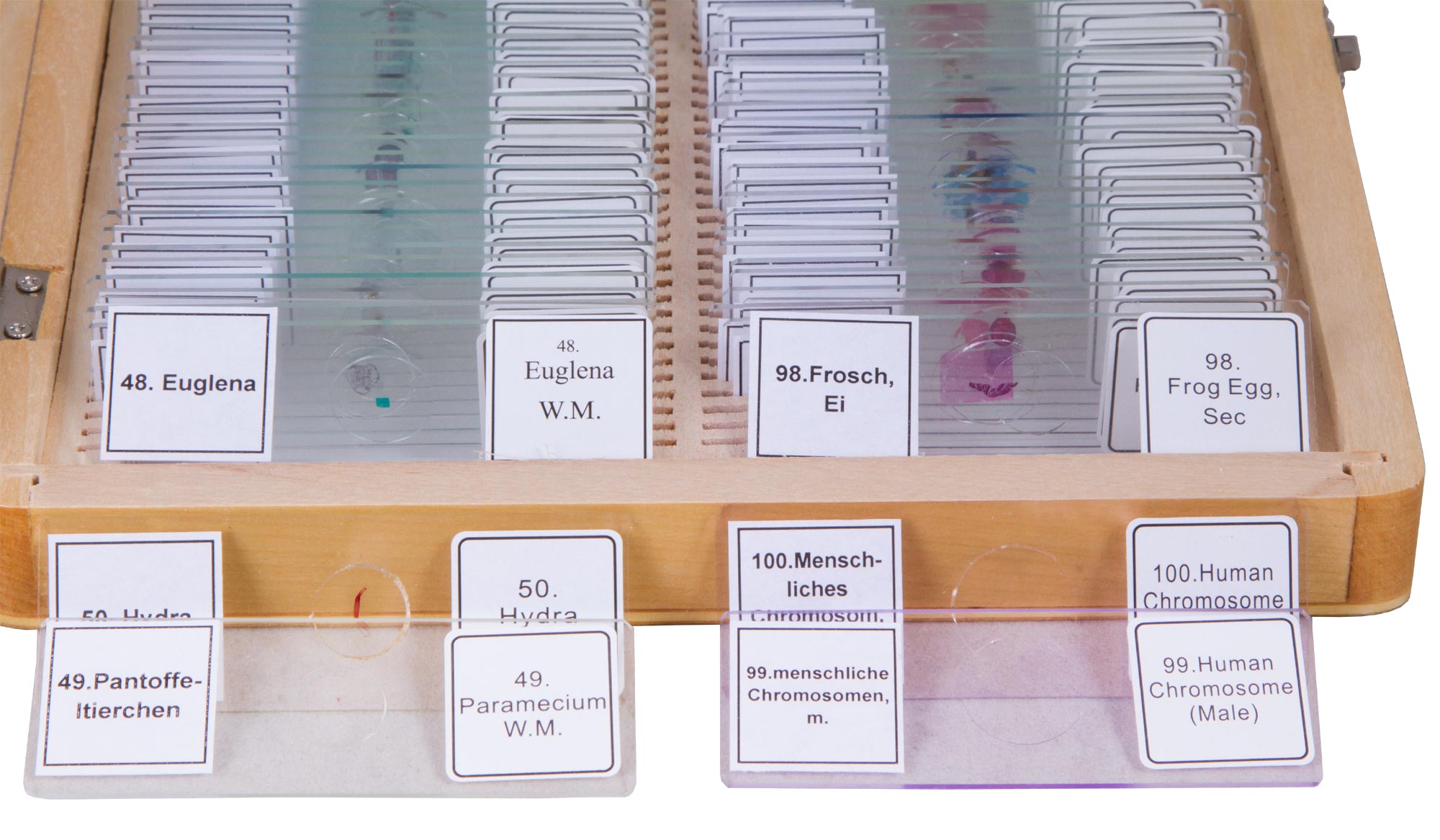 Bresser Prepared Slides Set 100pcs, with case