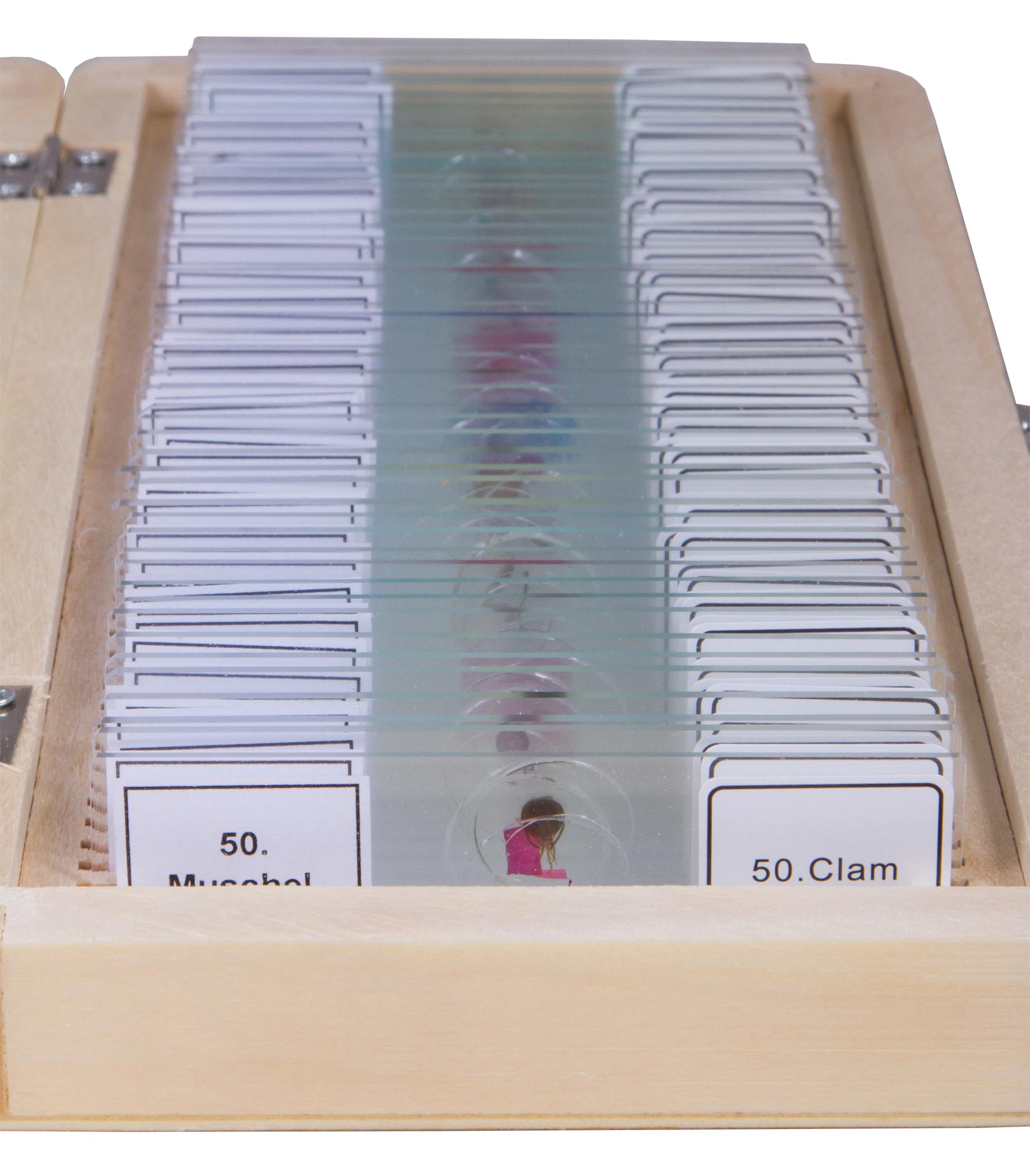 Bresser Prepared Slides Set 50pcs, with case