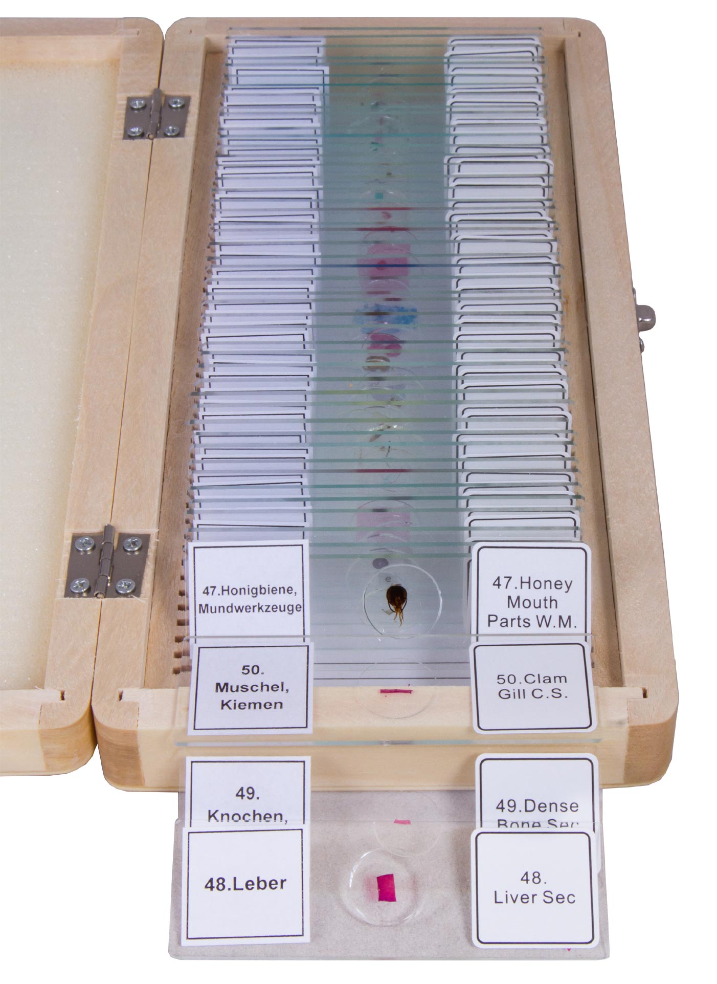 Bresser Prepared Slides Set 50pcs, with case
