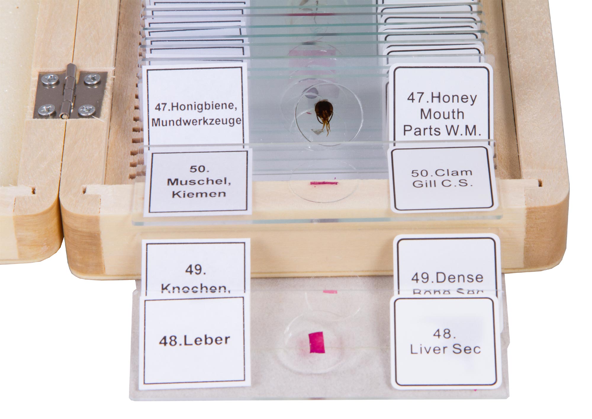 Bresser Prepared Slides Set 50pcs, with case
